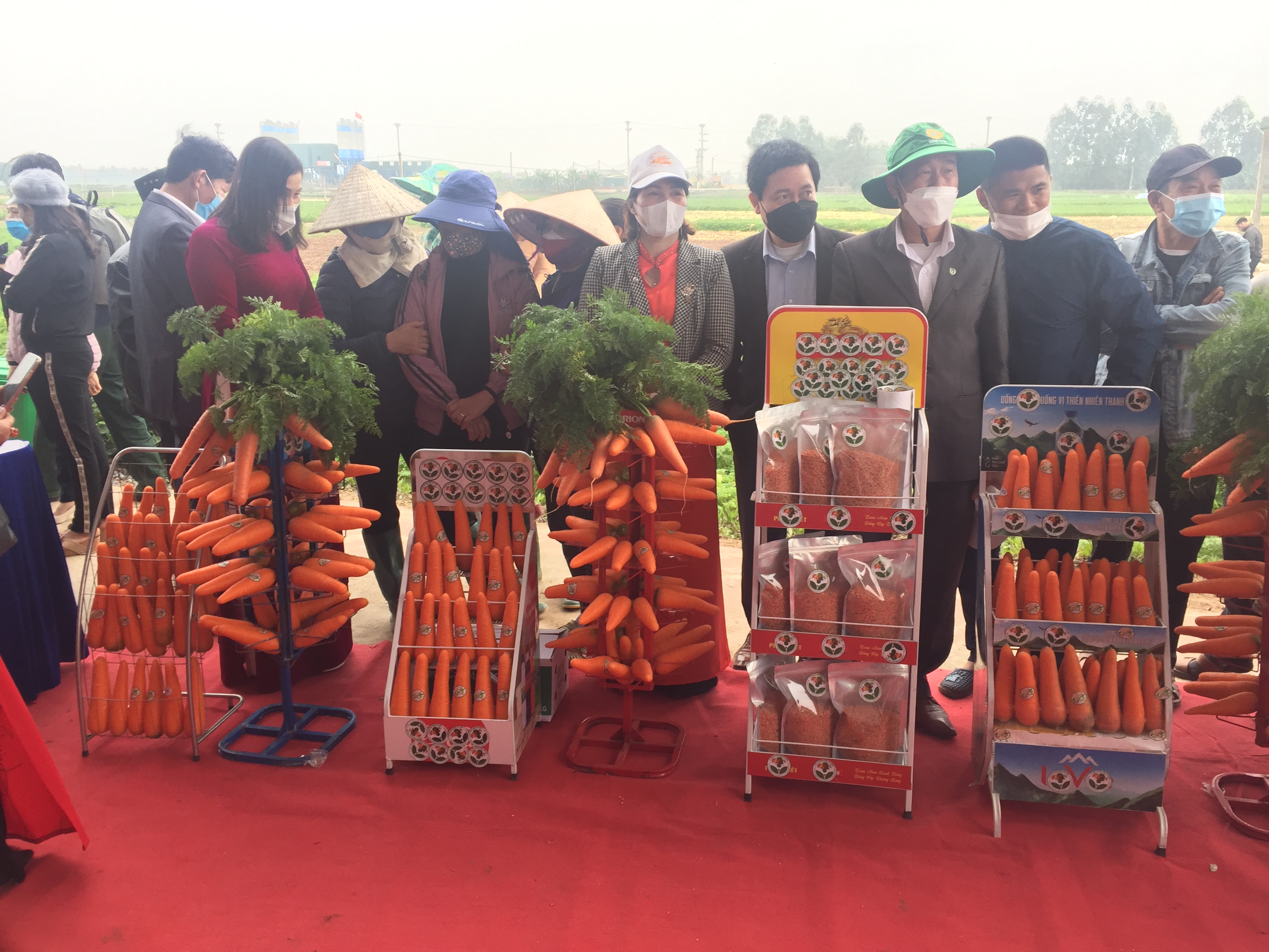 Góc trưng bày cà rốt