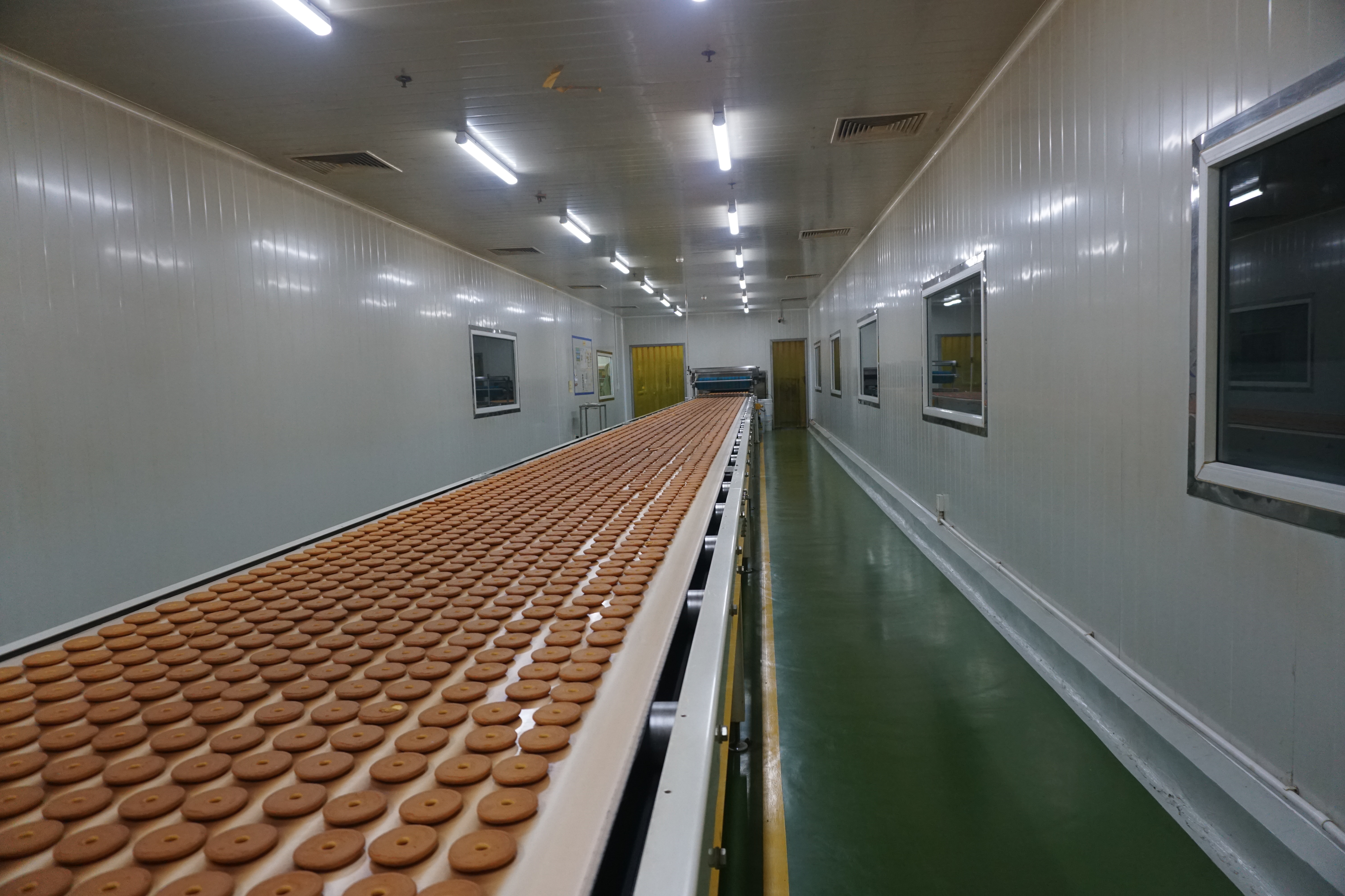 Dây chuyền sản xuất bánh Chocolate Pie tự động được nhập khẩu từ nước ngoài