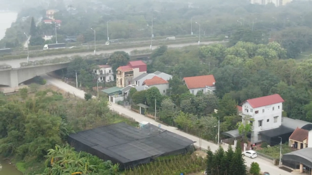 Xí nghiệp quản lý cống Xuân Quan đã cho thuê hành lang đê khu vực xã Bát tràng để làm bãi trông xe, làm bãi trồng và để cây cảnh từ nhiều năm nay.