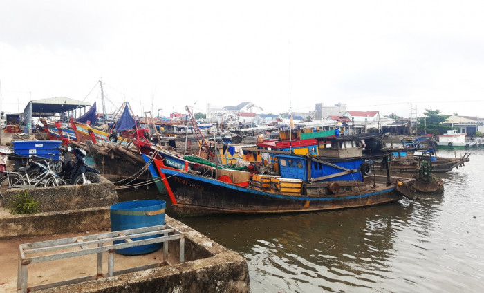 Trà Vinh: Xăng tăng giá ngư dân không dám đánh bắt xa bờ vì sợ lỗ