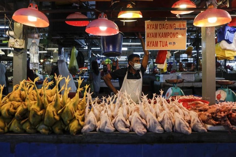 Malaysia cắt giảm xuất khẩu gà