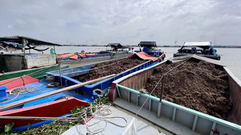 Nhiều sà lan vận chuyển trái phép đất ở An Giang bị bắt
