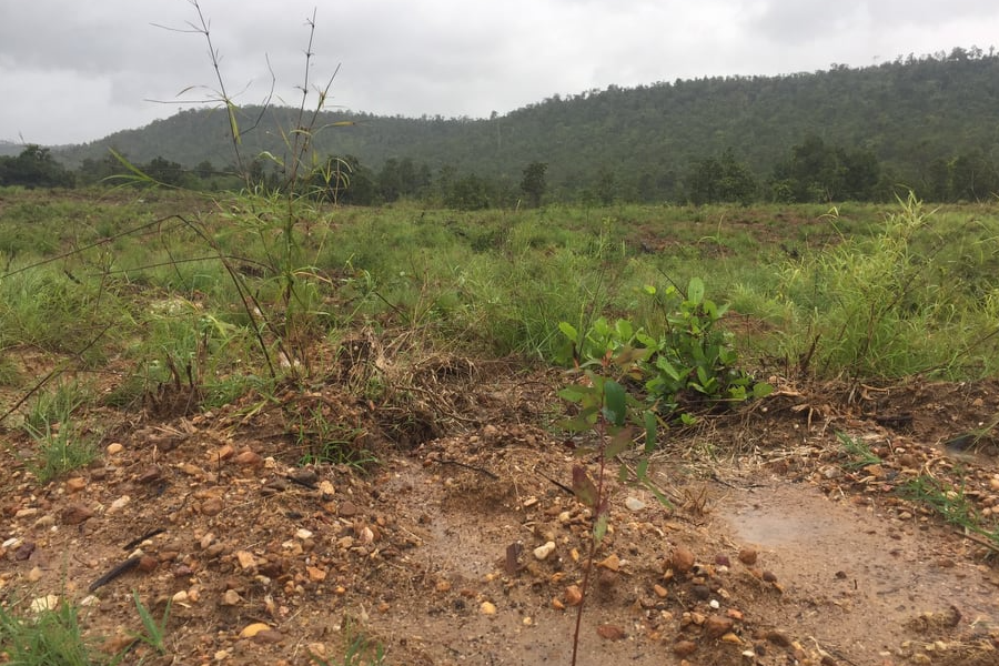 Gia Lai:  Khởi tố vụ phá hơn 2,2ha rừng