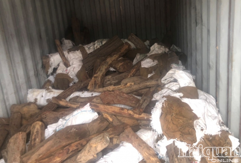 Hải Phòng: Nghi vấn hàng trăm khúc gỗ vi phạm Công ước CITES