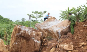 Nghệ An bắt giữ 4 nhóm đối tượng khai thác trộm hơn 500m3 đá